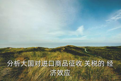 分析大國對進口商品征收 關稅的 經濟效應