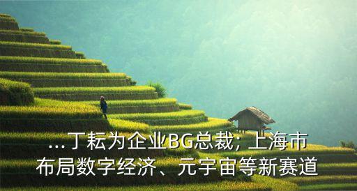 ...丁耘為企業BG總裁; 上海市布局數字經濟、元宇宙等新賽道