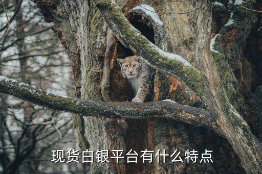  現貨白銀平臺有什么特點