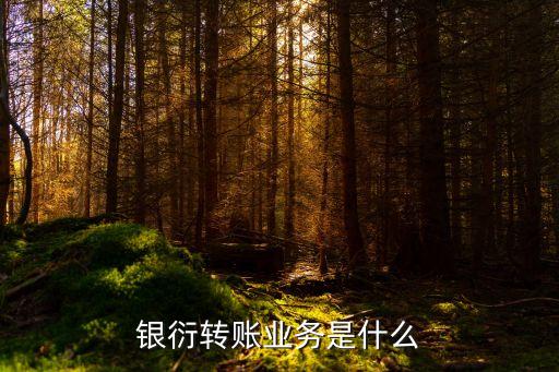我國商業銀行金融衍生品,商業銀行衍生品業務資格由誰批準