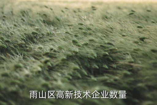 雨山區高新技術企業數量
