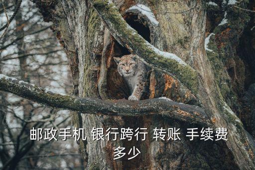  郵政手機 銀行跨行 轉賬 手續費多少