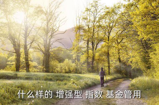 什么樣的 增強型 指數 基金管用