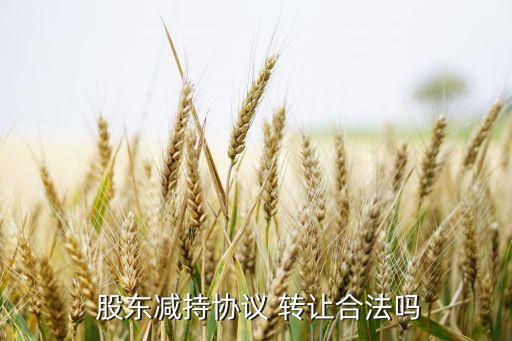 大股東整體轉讓股份的上市公司,持有上市公司股份5%以上的股東,將其持有