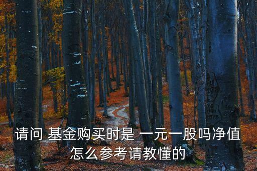 基金是不是一元一份,現在買基金是不是好時候