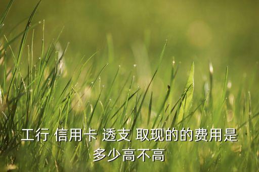 工行 信用卡 透支 取現的的費用是多少高不高