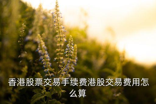  香港股票交易手續費港股交易費用怎么算