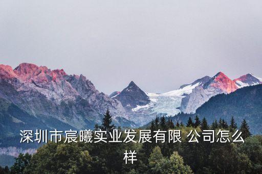 深圳市宸曦實業發展有限 公司怎么樣