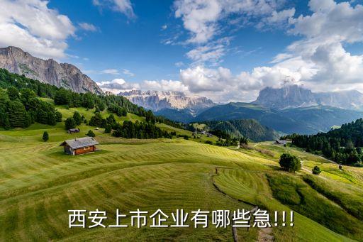 西安上市企業有哪些急!!!