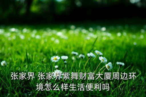  張家界 張家界紫舞財富大廈周邊環境怎么樣生活便利嗎