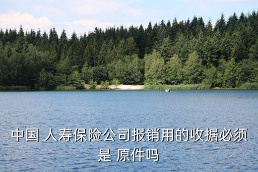 中國人壽理賠一定要發票原件嗎
