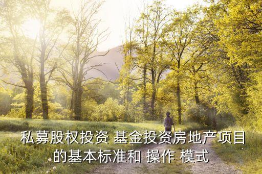  私募股權投資 基金投資房地產項目的基本標準和 操作 模式