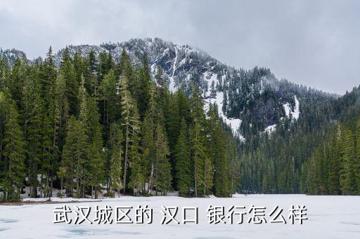武漢城區的 漢口 銀行怎么樣