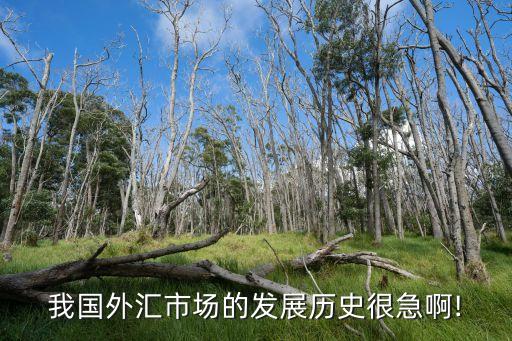 我國外匯市場的發展歷史很急啊!
