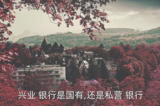  興業 銀行是國有,還是私營 銀行