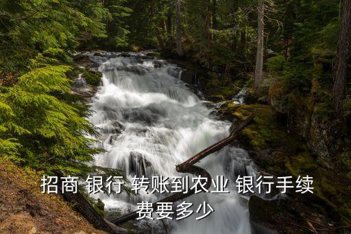  招商 銀行 轉賬到農業 銀行手續費要多少