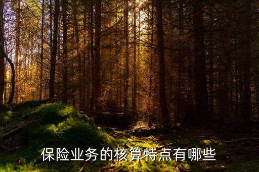 保險業務的核算特點有哪些