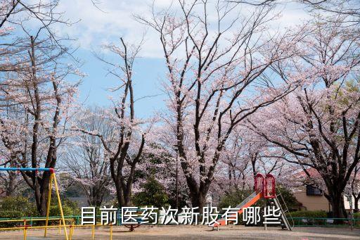 昆明龍津藥業股票,002750龍津藥業股票