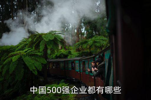 中國500強企業都有哪些