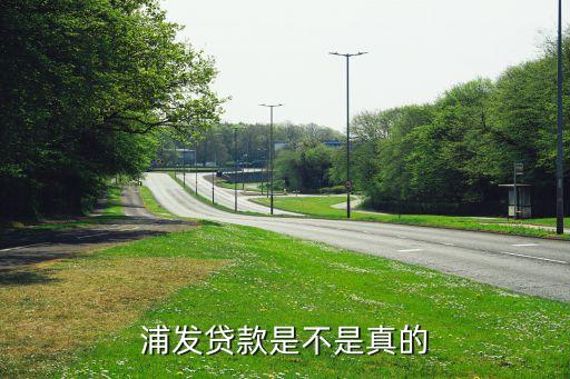 浦發銀行2014財務報表,上海浦發銀行財務報表