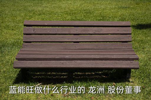 藍能旺做什么行業的 龍洲 股份董事
