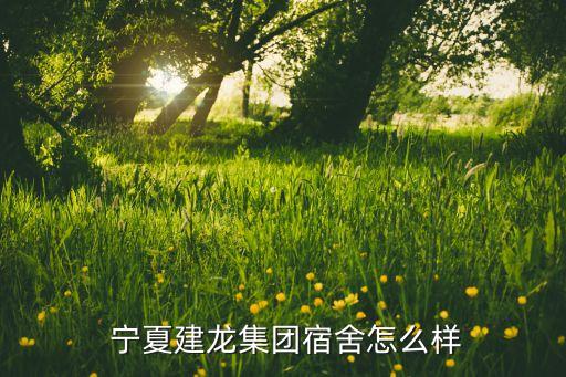 2014中國民營企業500強寧夏,廣東省民營企業500強