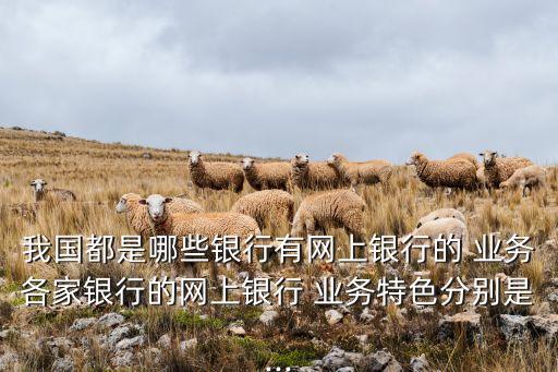 華夏銀行網銀能什么業務