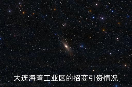 大連海灣工業區的招商引資情況