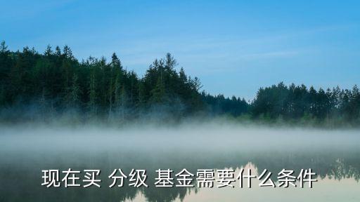 買分級基金,分級基金a和b的區別
