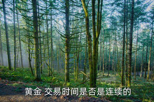 黃金 交易時間是否是連續的