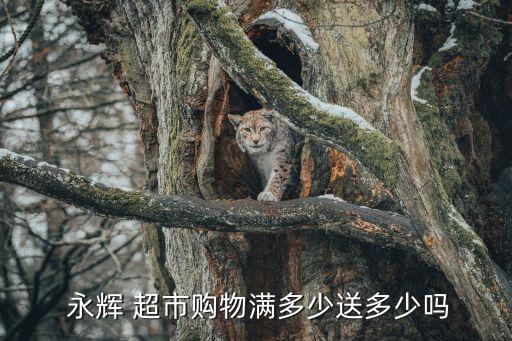 上海市永輝超市明細,永輝超市消費明細如何查詢