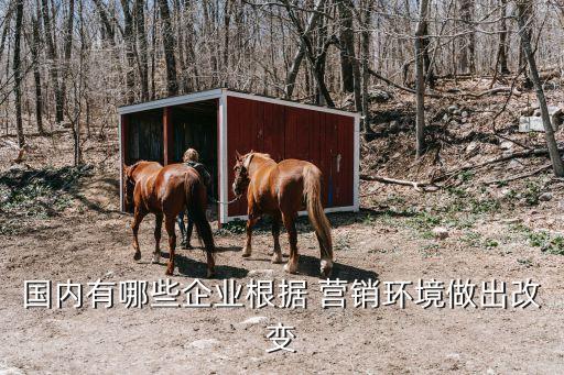 國內有哪些企業根據 營銷環境做出改變