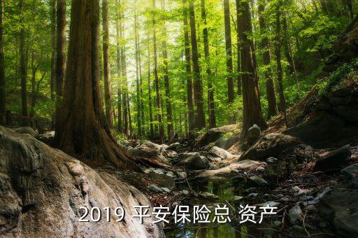 2019 平安保險總 資產