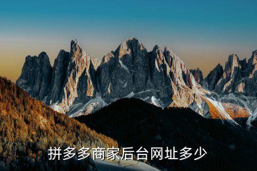 拼多多商家后臺網址多少