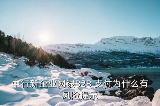 中行新企業網銀B2B 支付為什么有風險提示