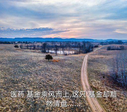 醫藥 基金乘風而上,這只 基金卻黯然清盤……