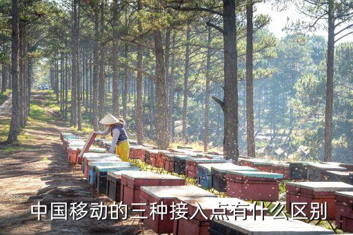 中國移動2015年業績報告