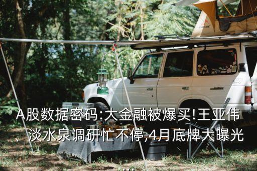 A股數據密碼:大金融被爆買!王亞偉、淡水泉調研忙不停,4月底牌大曝光...