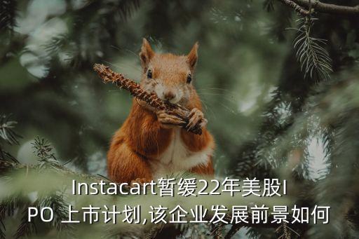 Instacart暫緩22年美股IPO 上市計劃,該企業發展前景如何