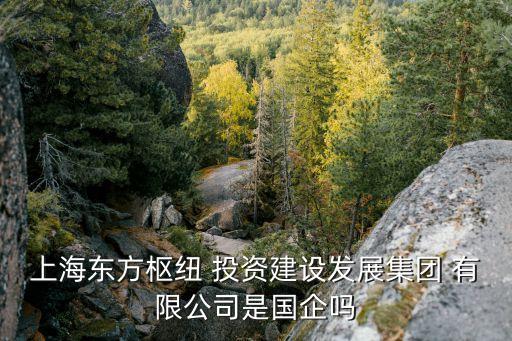 上海東方樞紐 投資建設發展集團 有限公司是國企嗎