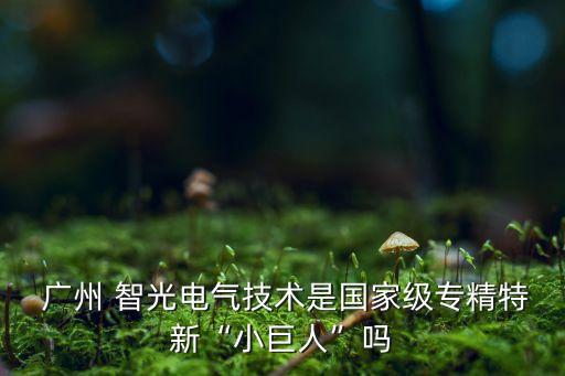 廣州智光節能有限公司