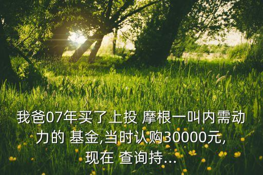 我爸07年買了上投 摩根一叫內需動力的 基金,當時認購30000元,現在 查詢持...