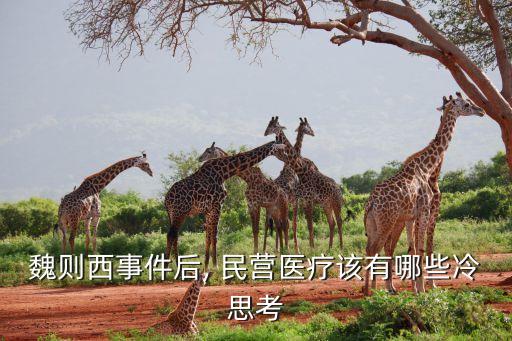 魏則西事件后, 民營醫療該有哪些冷思考