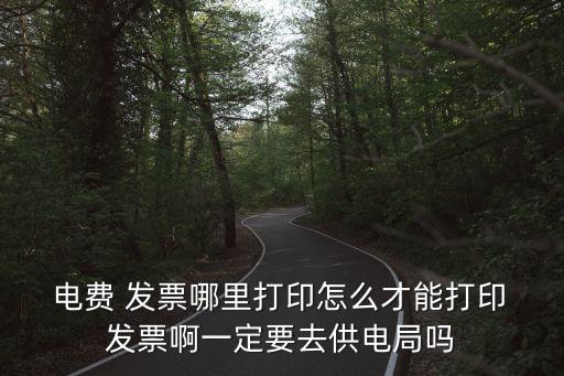  電費 發票哪里打印怎么才能打印 發票啊一定要去供電局嗎