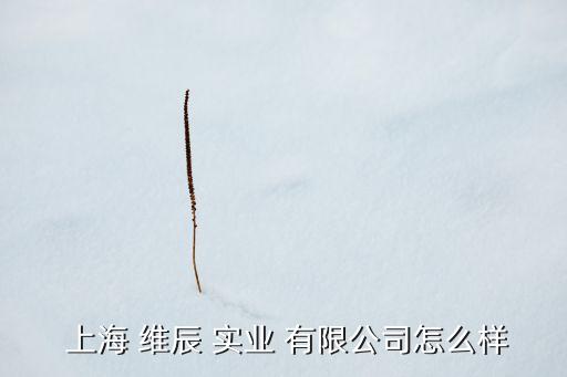 上海 維辰 實業 有限公司怎么樣