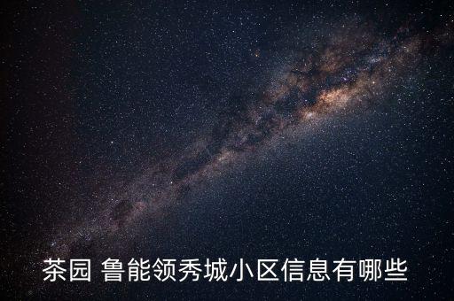 魯能英大集團,國網英大集團