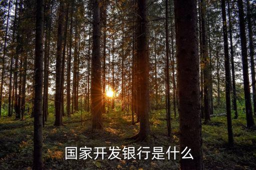 國家開發銀行國銀金融租賃有限公司,張凌智 國家開發銀行國銀金融租賃