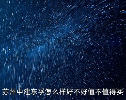 上海孚虹置業有限公司,上海聯虹置業有限公司