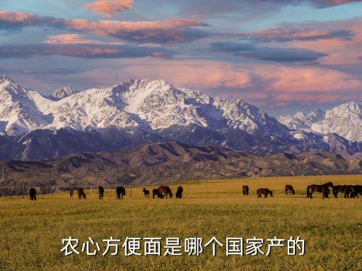 韓國農心集團創始人,韓國起亞集團創始人