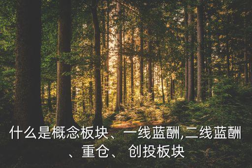 大眾公用幾個創投公司,深創投大眾公用